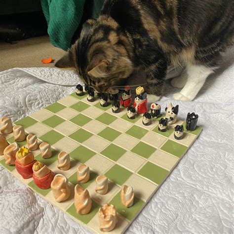chess results cat|Chess.